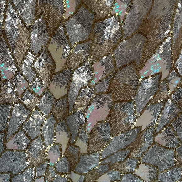 Silver and Gold Sequin Dress with Ruffle Hem - Picture 5 of 16